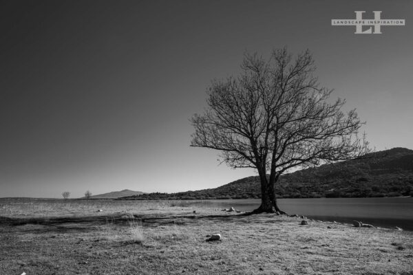 DSC07843A741628F28